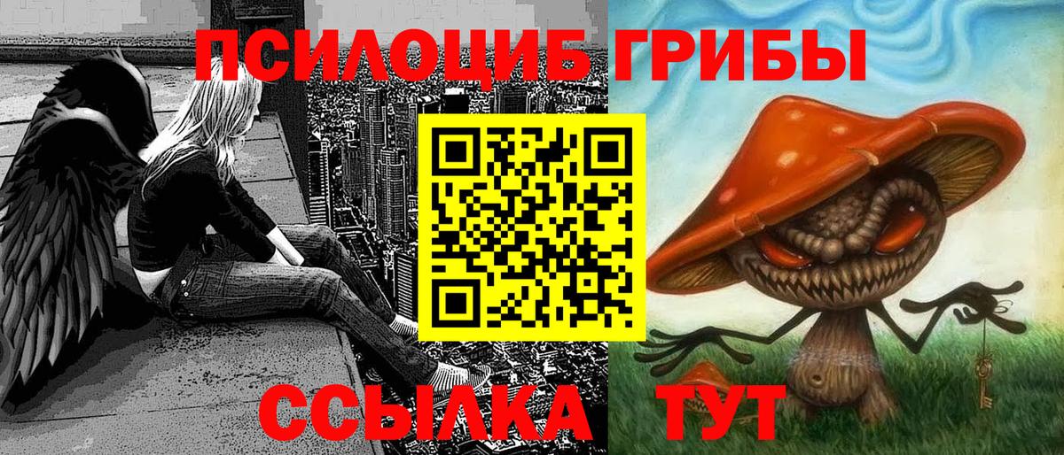 Сафоново  Галлюциногенные грибы Cubensis  Вход с VPN  Галлюциногенные грибы прущие грибы 